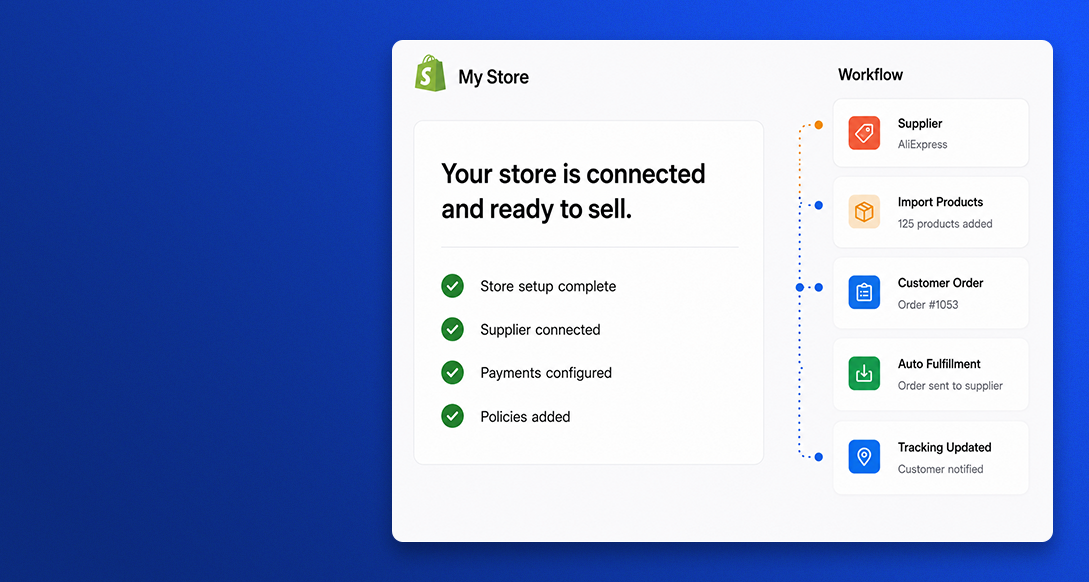 Dropshipping Store Setup showcase